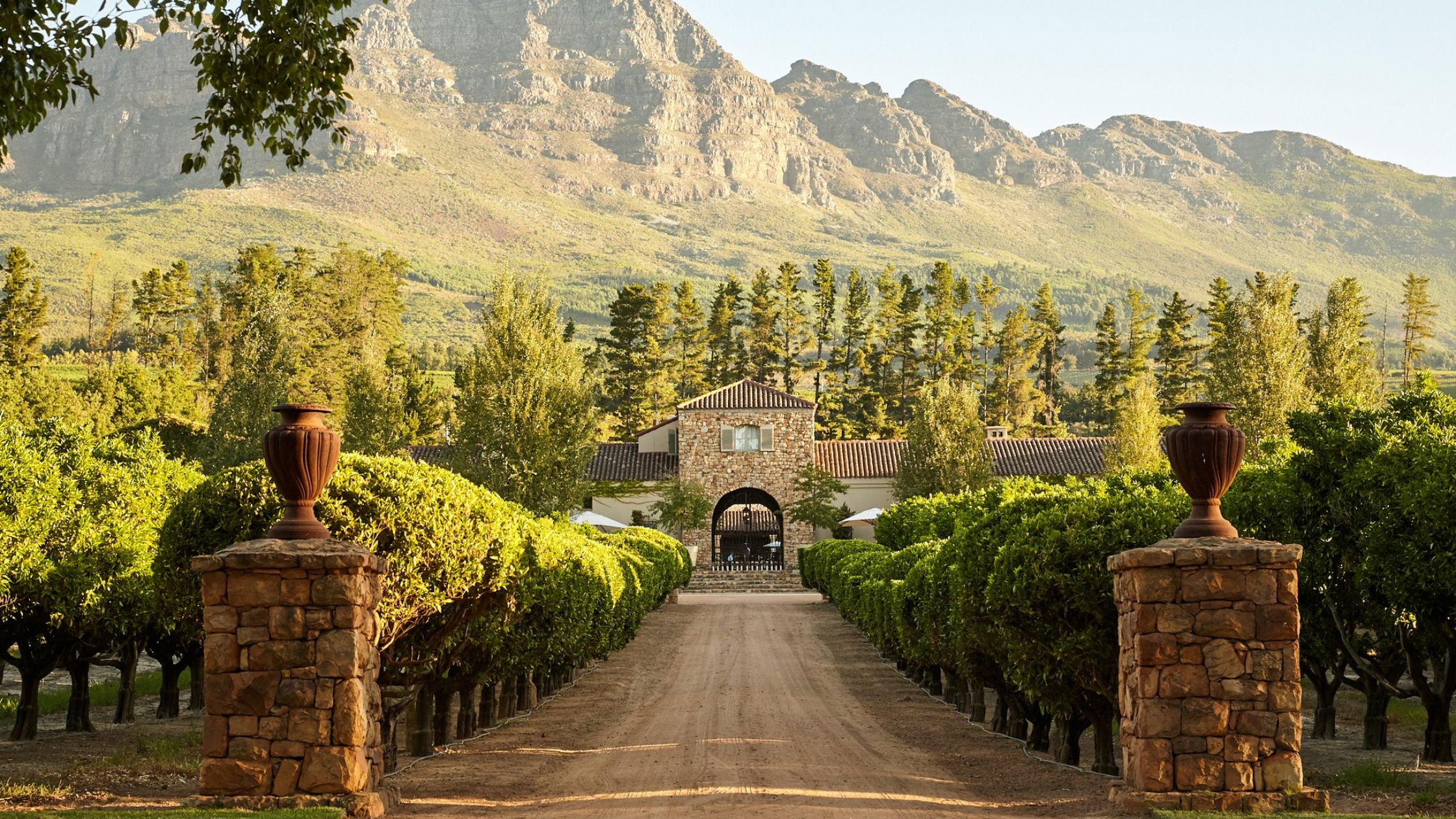 Luxury-of-a-Private-Wine-Tour-3
