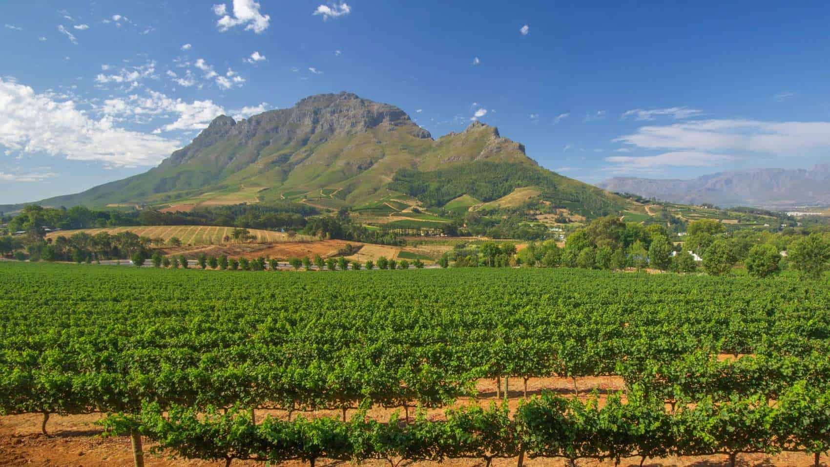 cape_winelands_5